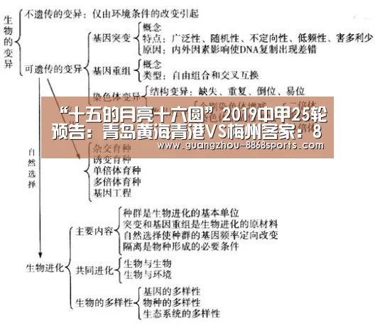 8868体育官方网址