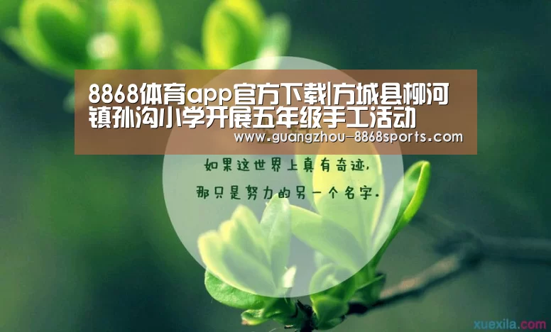 8868体育app官方下载|方城县柳河镇孙沟小学开展五年级手工活动(图4) 8868体育官方网址