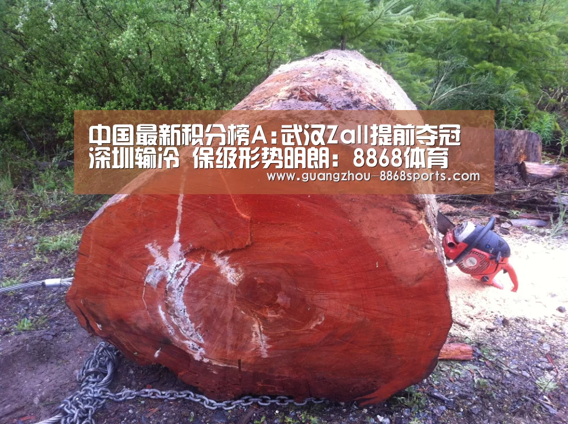 中国最新积分榜A:武汉Zall提前夺冠 深圳输冷 保级形势明朗:8868体育(图1) 8868体育